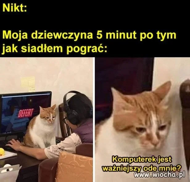 Dosłownie tak to wygląda