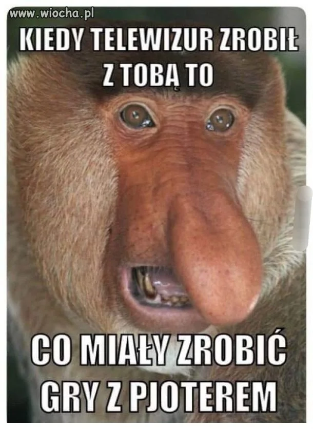 Bęben maszyny losującej jest pusty 
