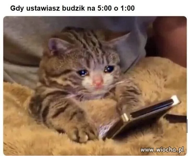 Nocne rozczarowanie