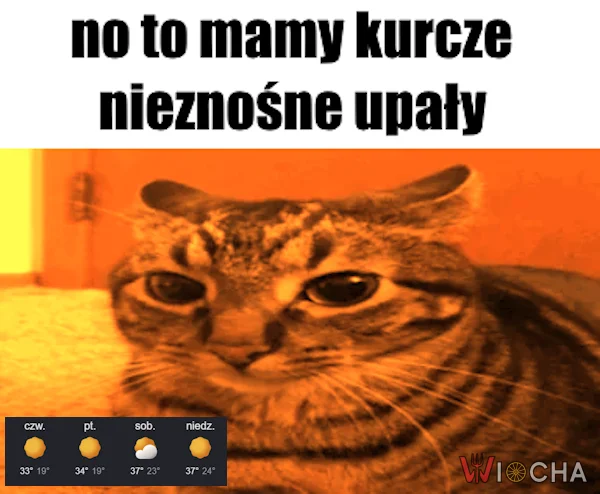 No to mamy kurcze nieznośne upały