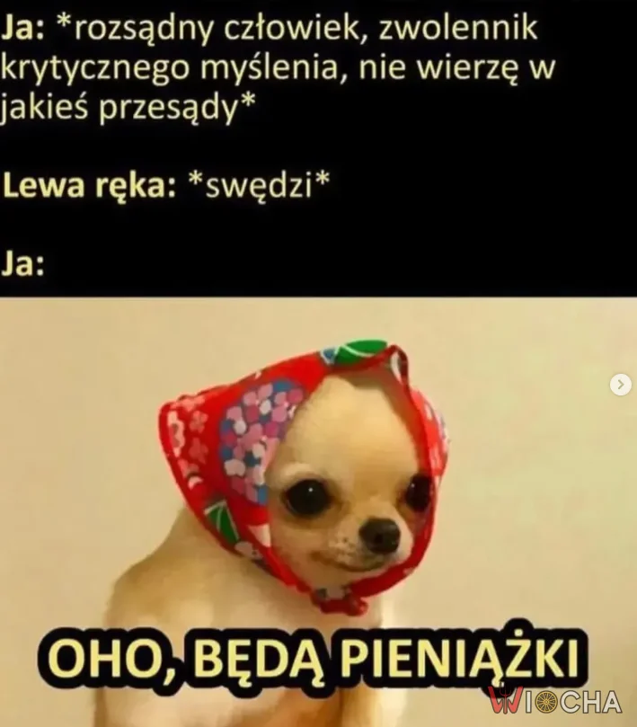Gdzie tam, żadne przesądy