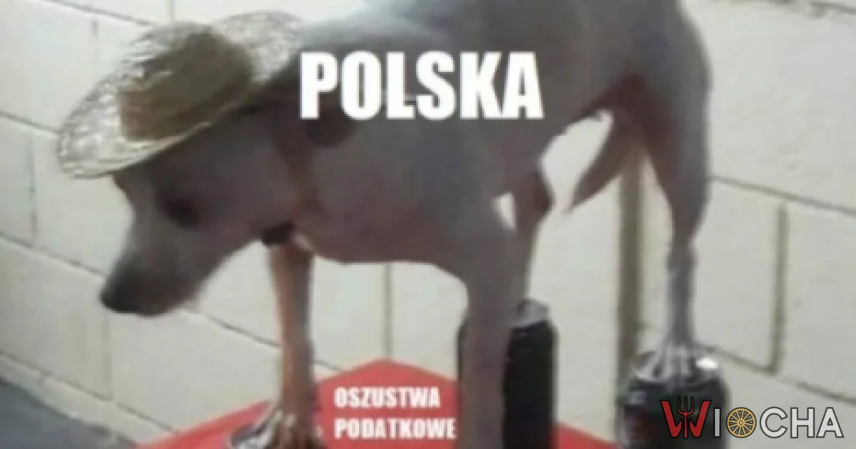 Polska w pigułce