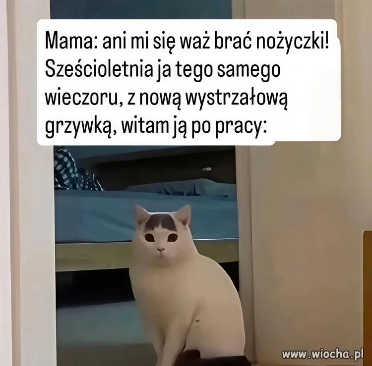 Mamo, tylko się nie wkurzaj