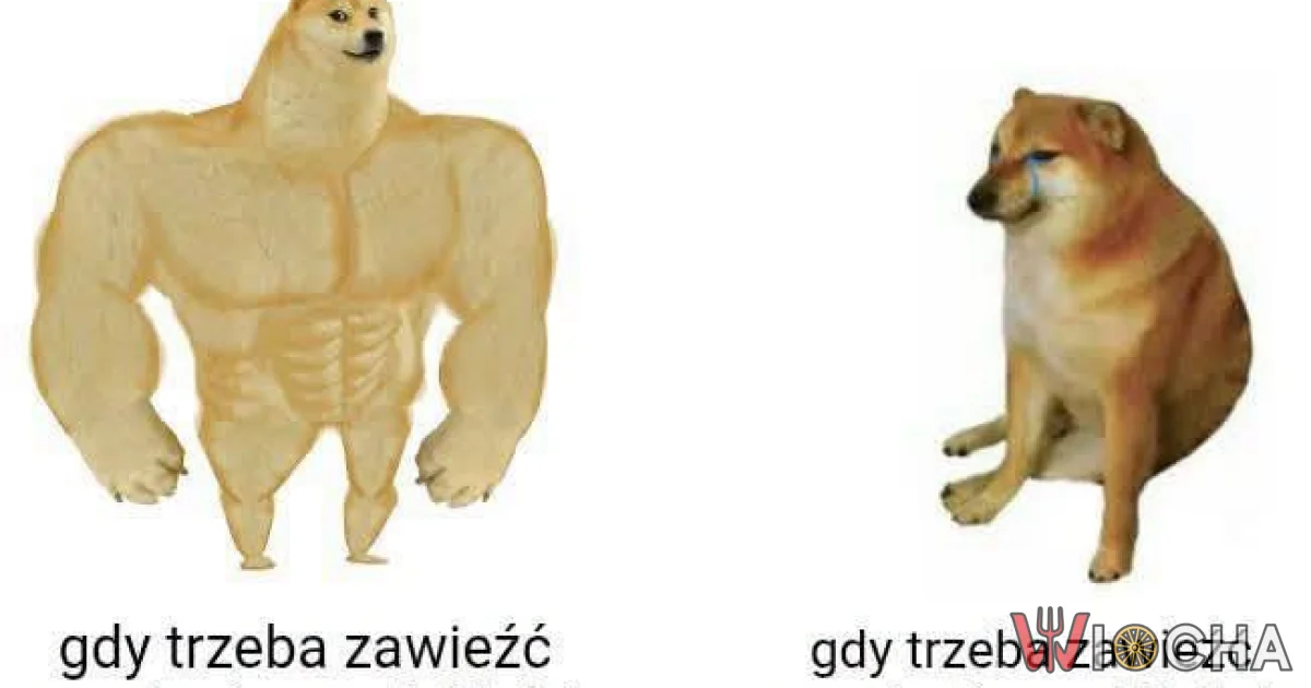 PKP ma wszystko pod kontrolą