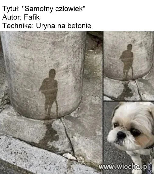 Najnowsze dzieło Fafika