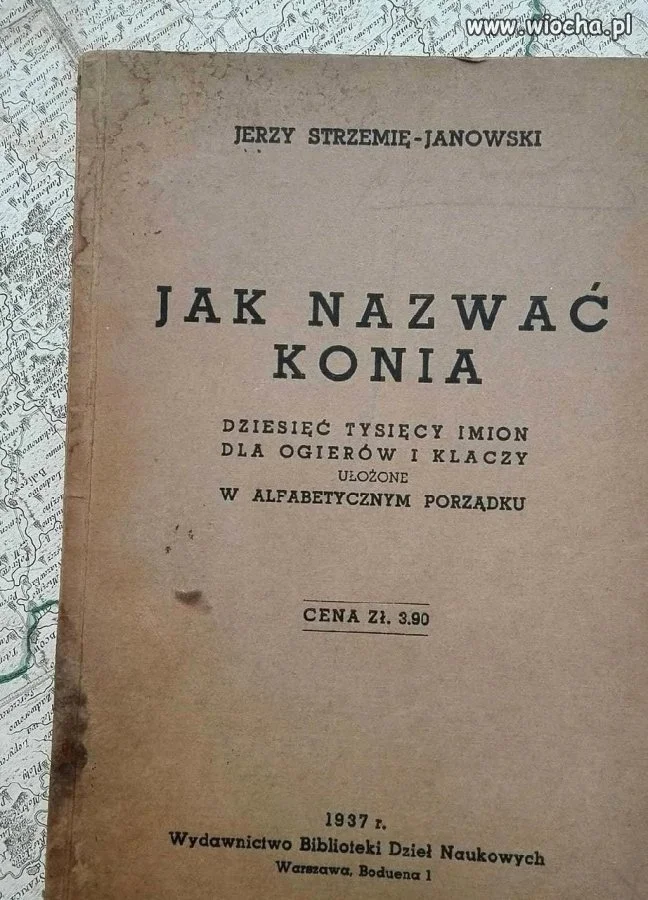 Jak nazwać konia