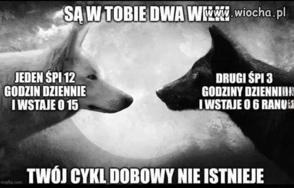 Kto wie, którym wilkiem będę jutro