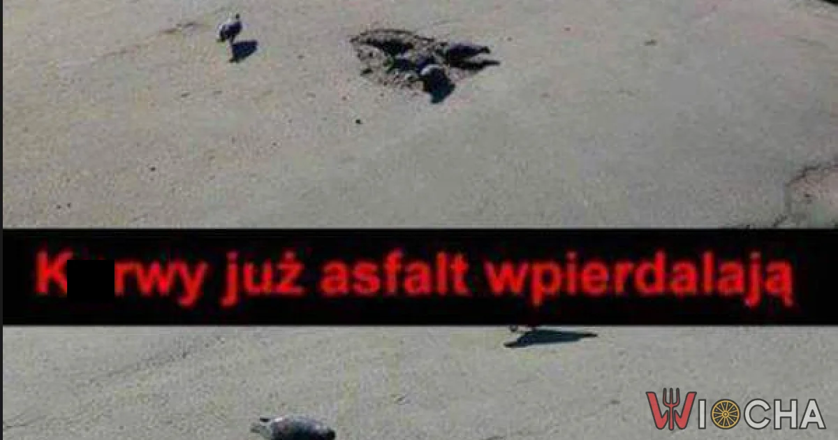 Smacznego... chyba