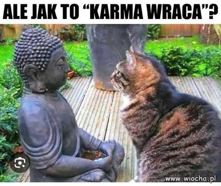 Co ty mówisz, ale serio?