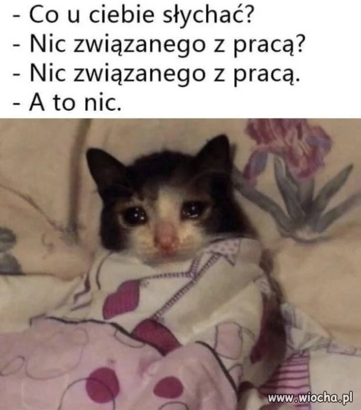 Tylko praca, praca i praca