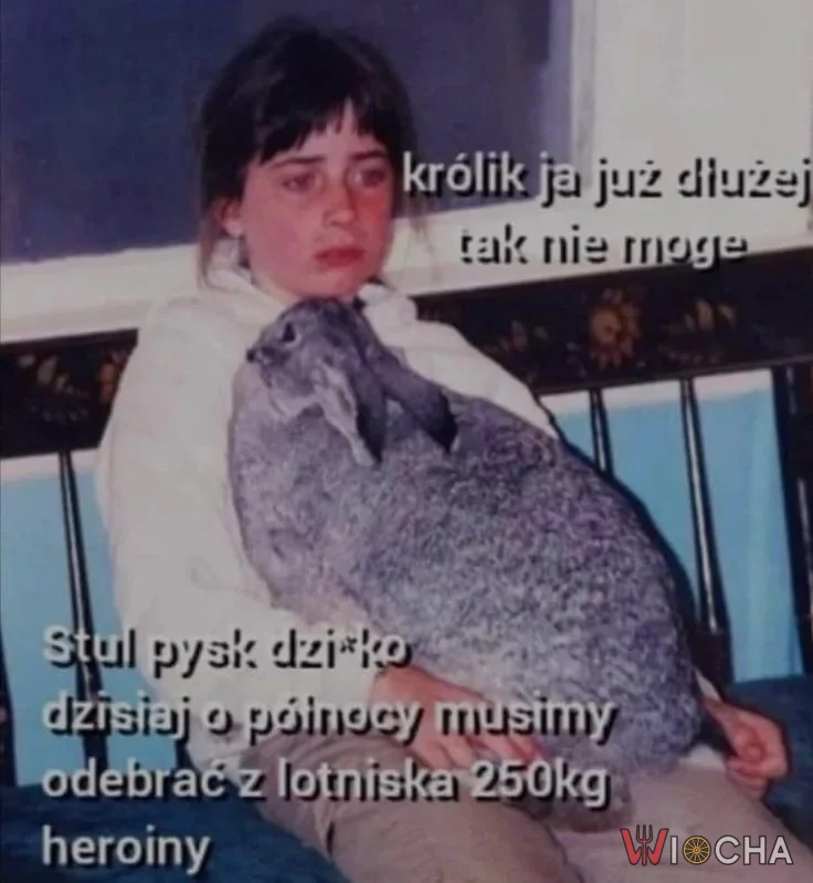 Co to za historia?