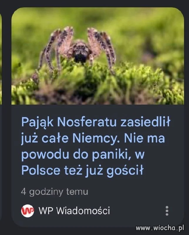 Nie ma powodu do paniki
