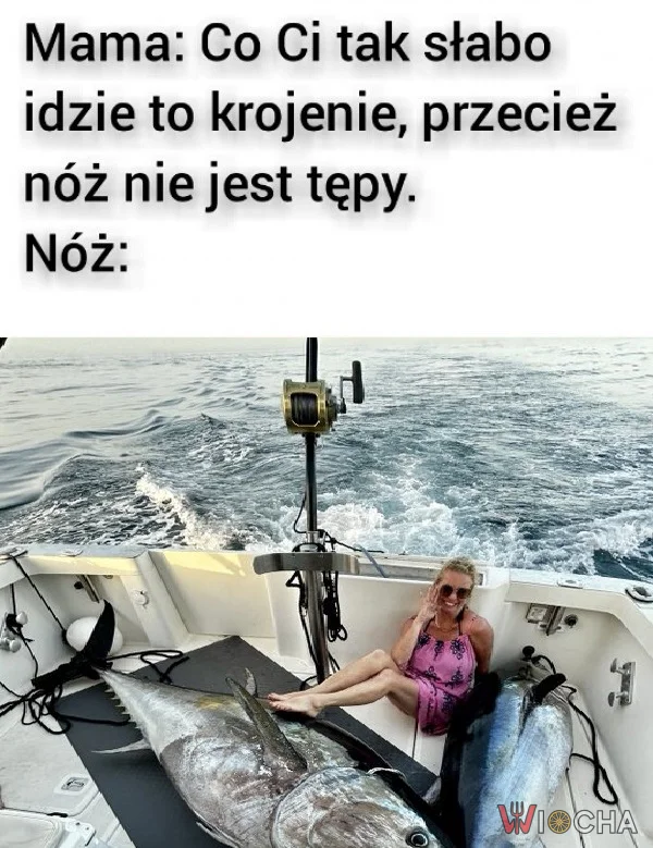 Jaki jest nóż każdy widzi