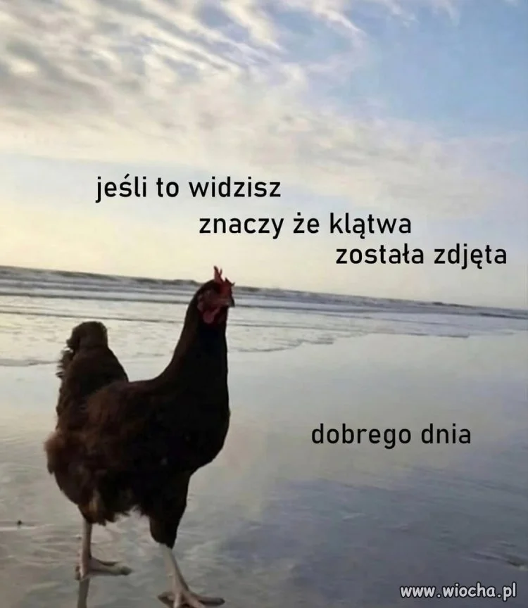 Miłej reszty dnia