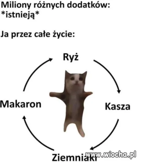 Krąg życia