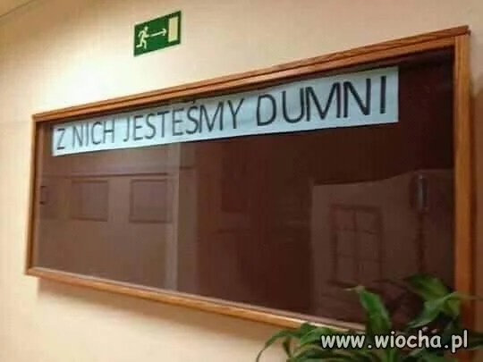POV: jesteś w polskiej placówce edukacyjnej