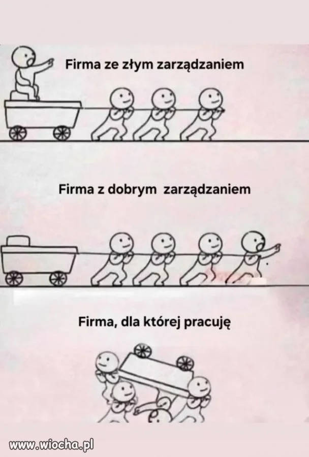 Zarządzanie w skrócie