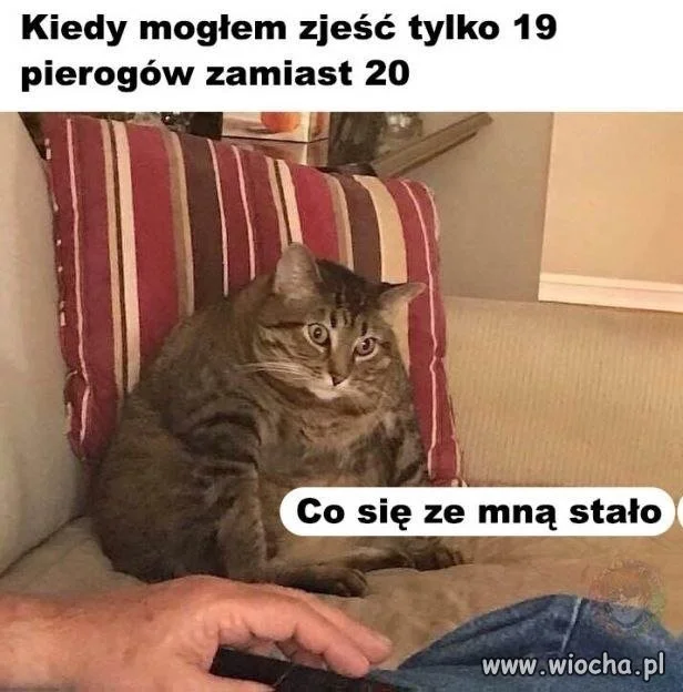 Nie jestem dziś sobą