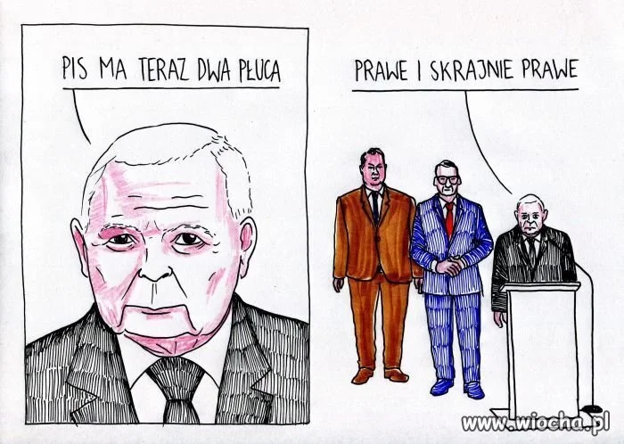 I do tego brak kręgosłupa moralnego 