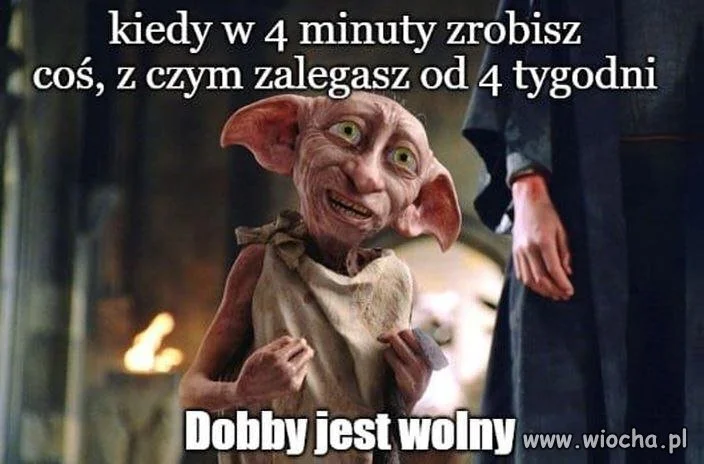 Zgredek jest w końcu wolny