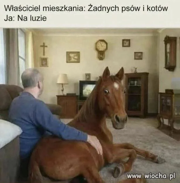 O koniach nie mówili