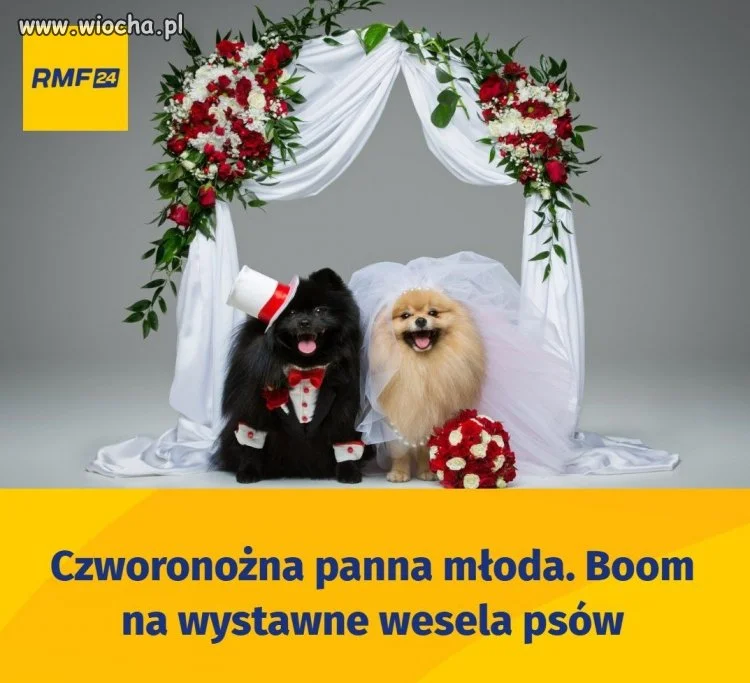Wszystkiego dobrego młodej parze