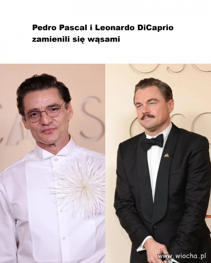 Taki psikus