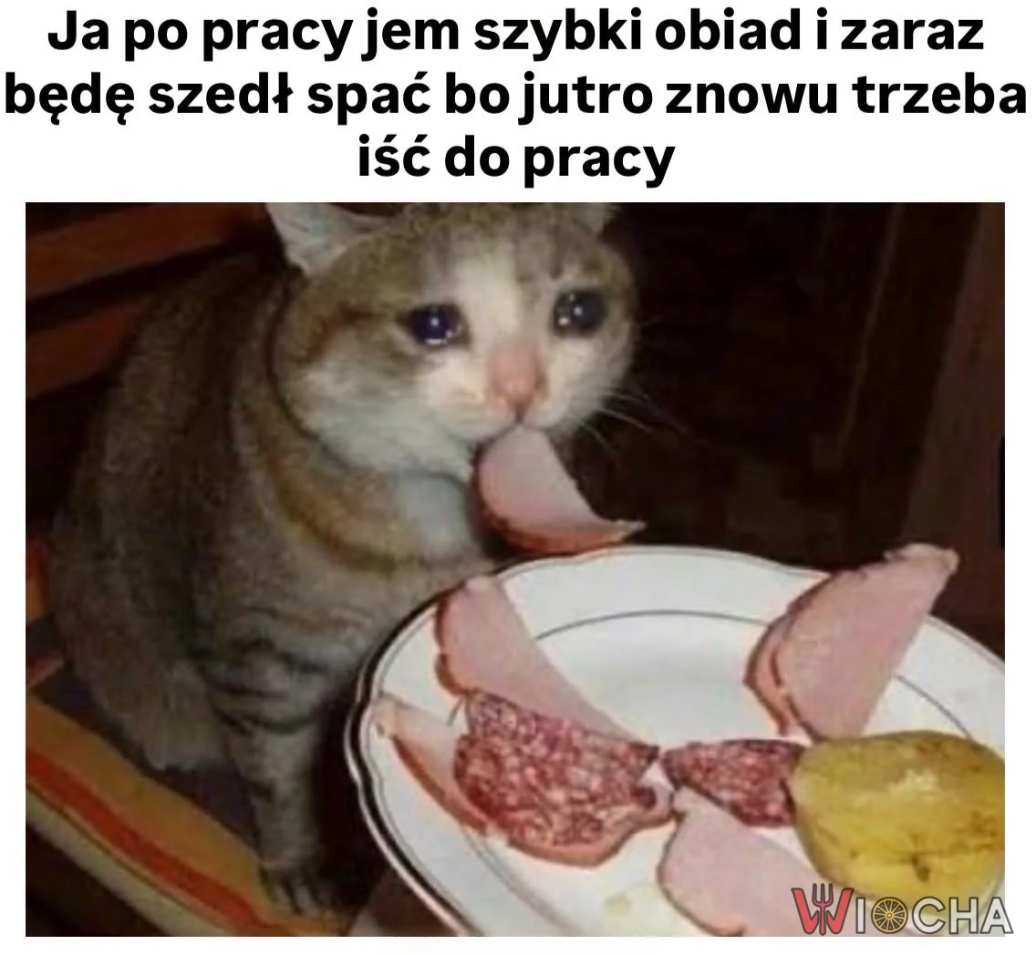 I znowu do pracy