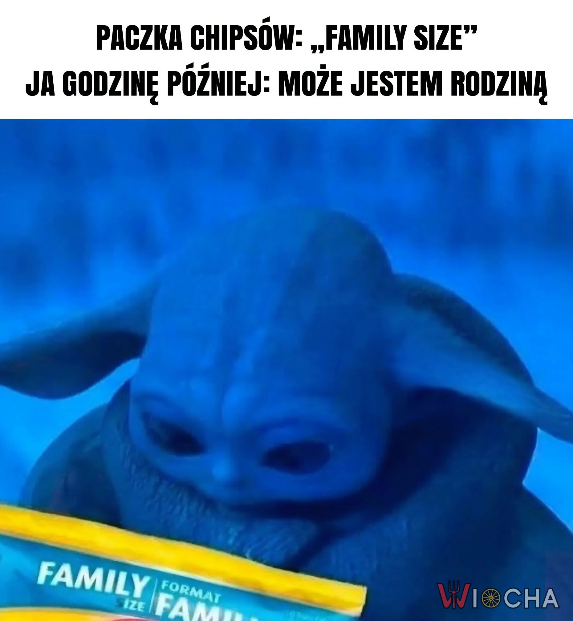Jednoosobowa rodzina