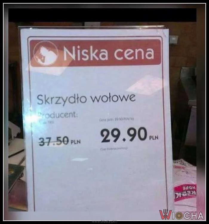 Krowy zaczęły latać