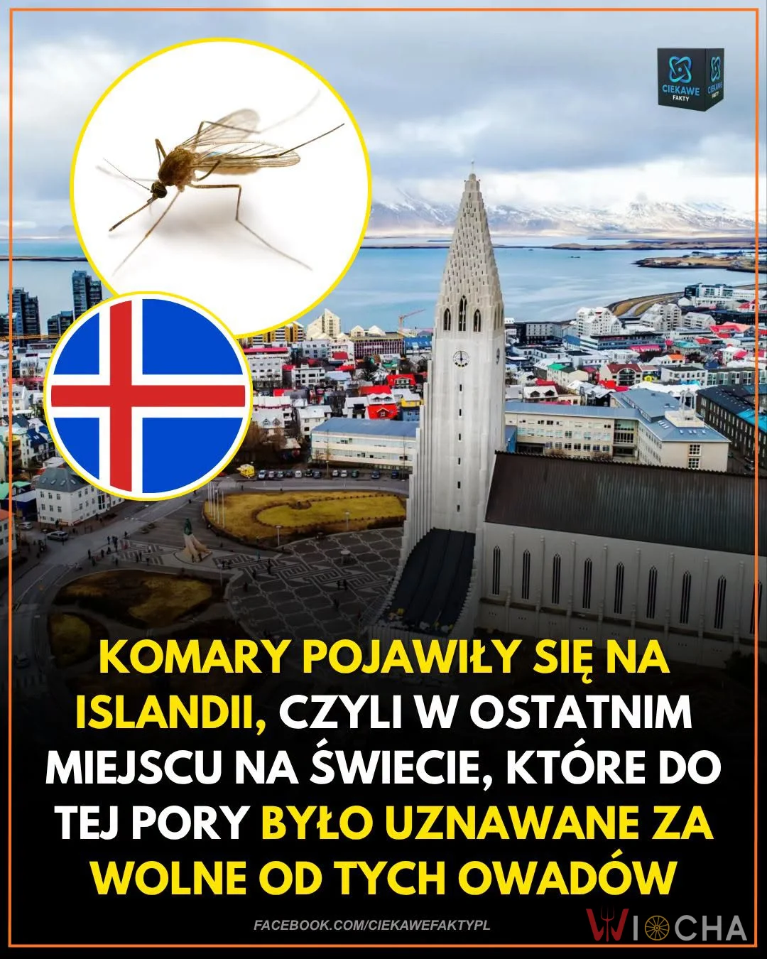 Tam też dotarły