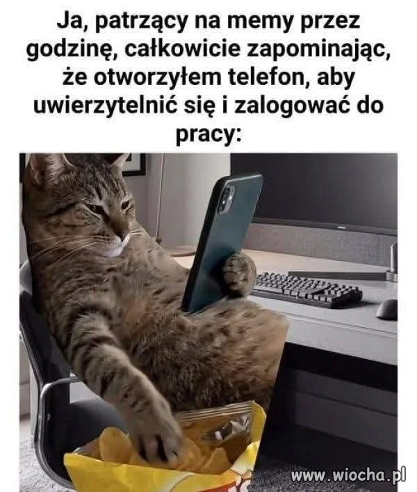 Praca poczeka