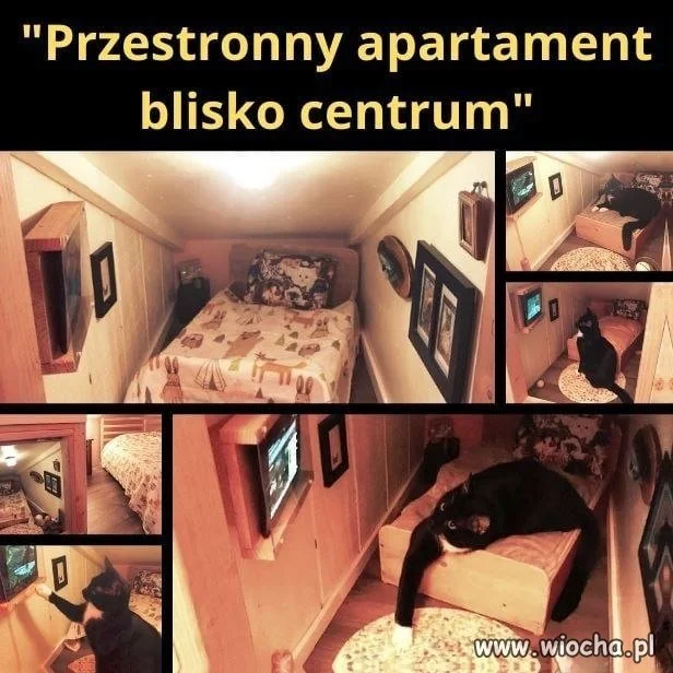 Typowa kawalerka, która daje perspektywy