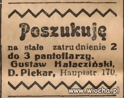 Poszukuję 2 do 3 pantoflarzy