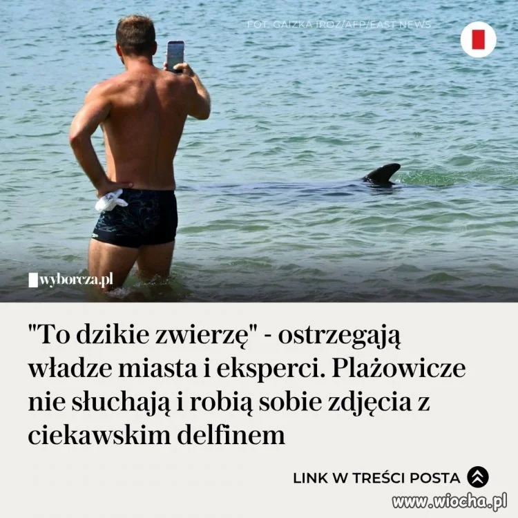 Nie no po prostu selekcja naturalna
