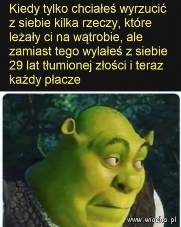 Przepraszam, nie chciałem