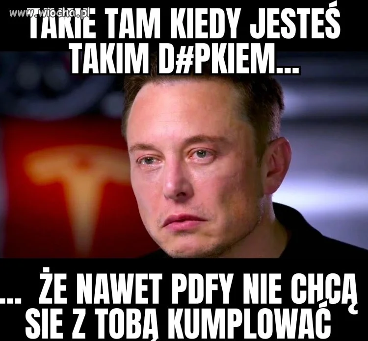 Elon Musk to taki PDFowski INCEL