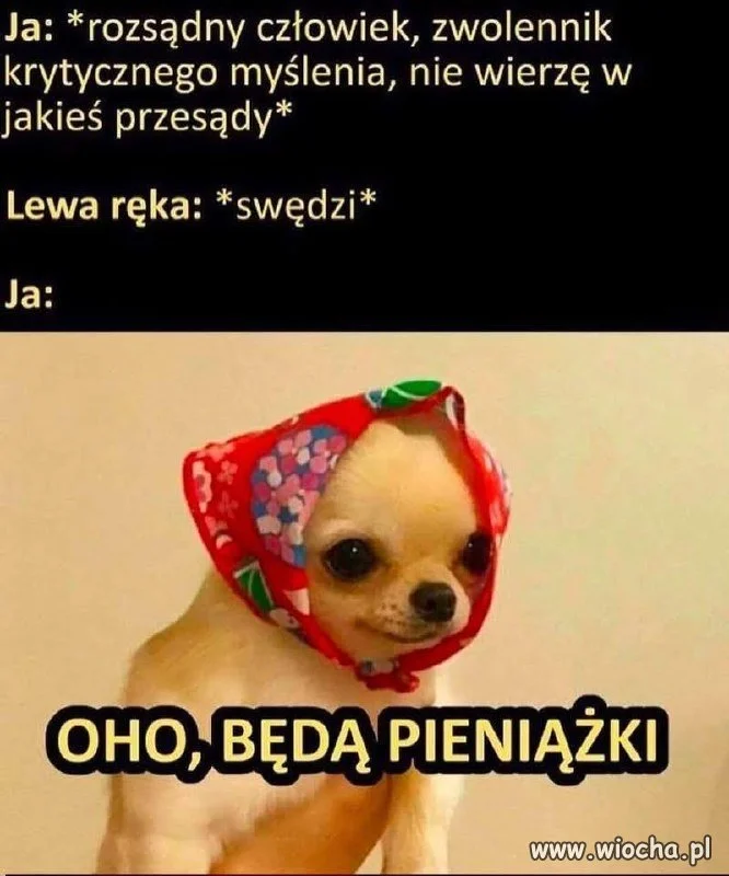 To musi być to