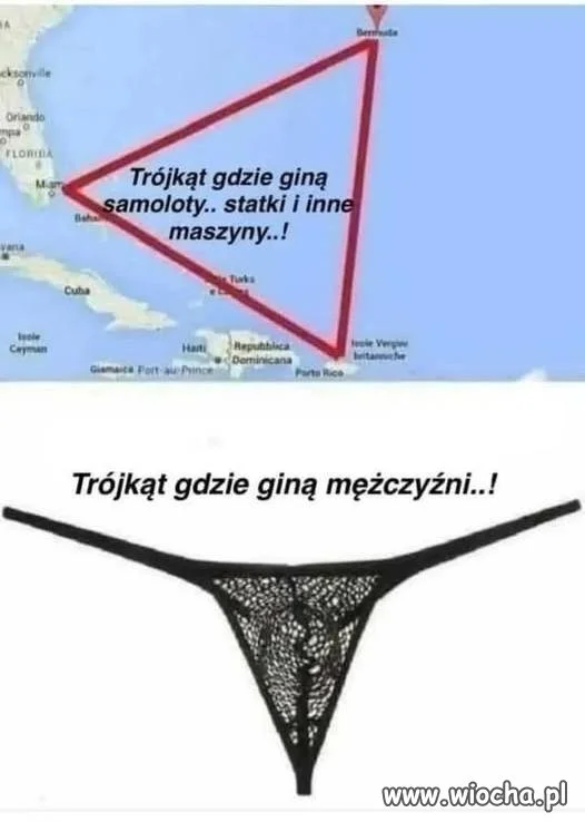 Samo życie