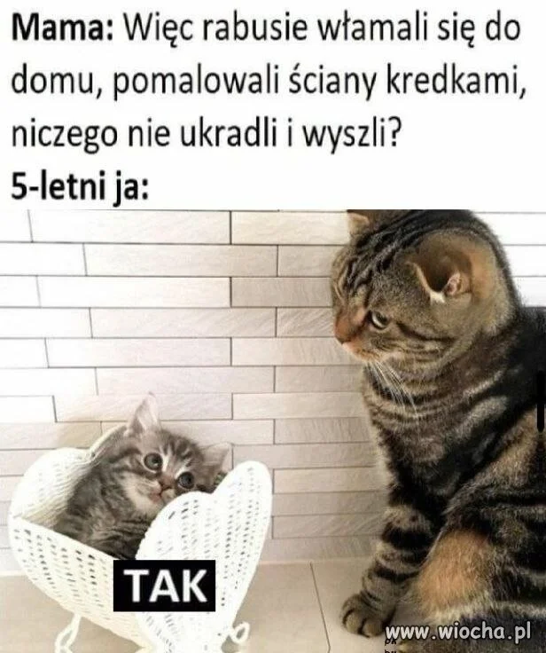 Rabusie byli wyjątkowo kreatywni