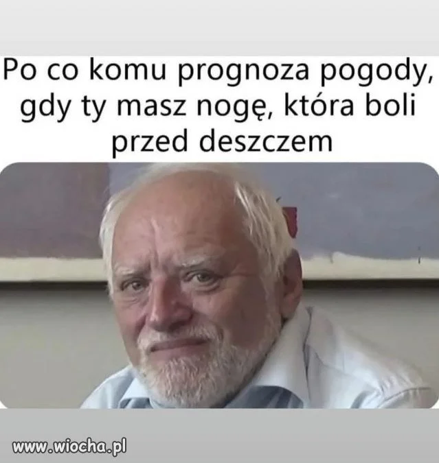 Prognoza premium
