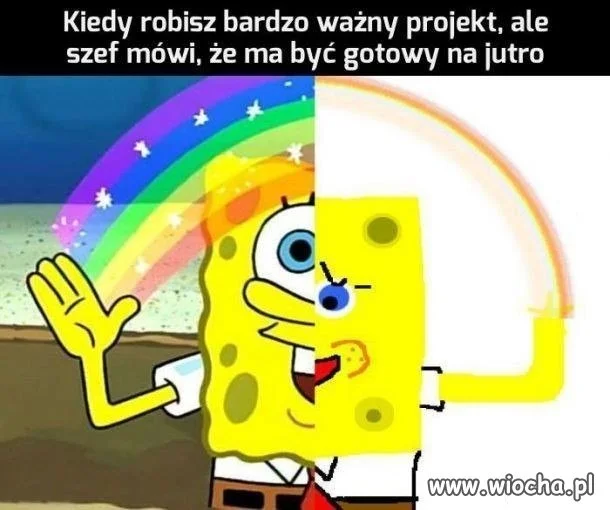 Nie można mieć wszystkiego