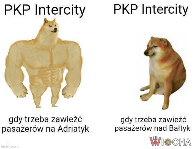 PKP ma wszystko pod kontrolą