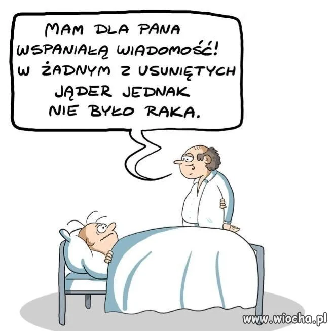 Nie ma to jak dobre informacje 