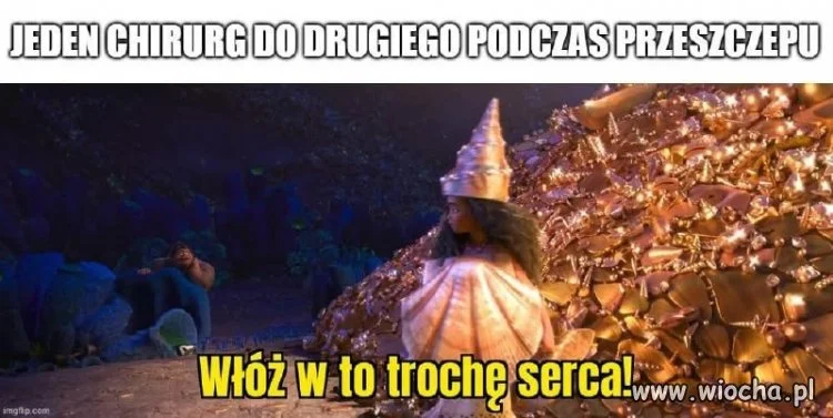 Żarciki anatomiczne