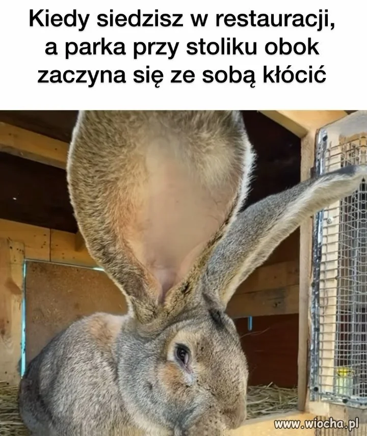 Ja: nie interesują mnie dramy