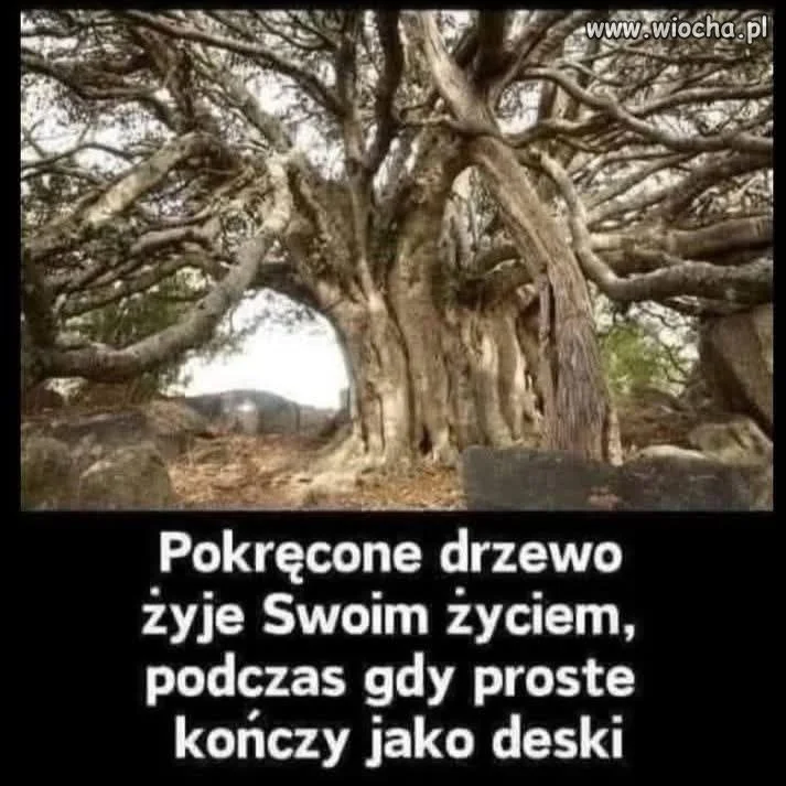 Jak życie to w pokręceniu
