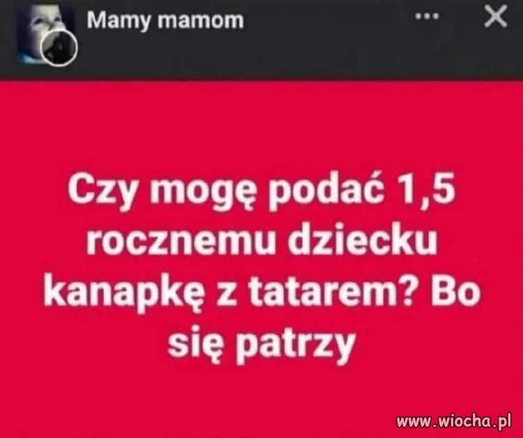 Co się gapisz?