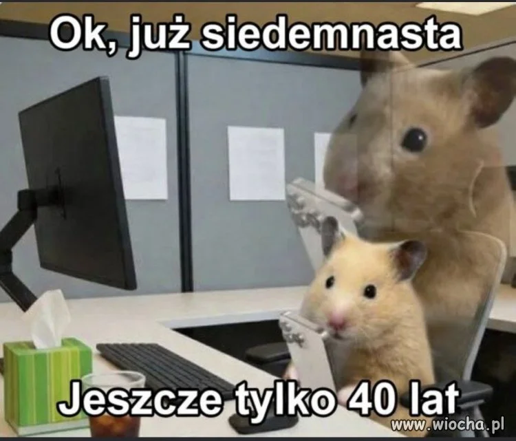 Byle do piątku