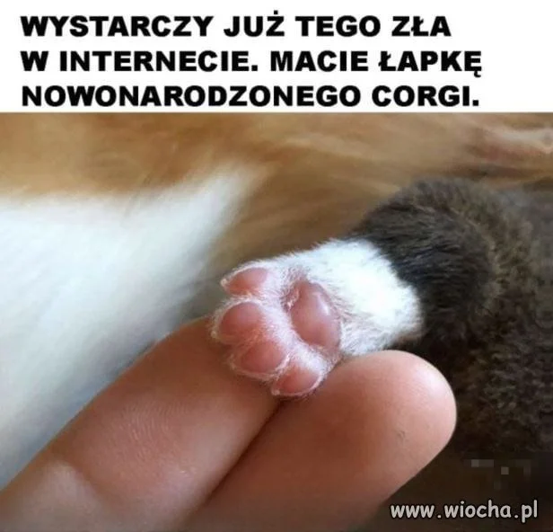 Koniec z hejtem